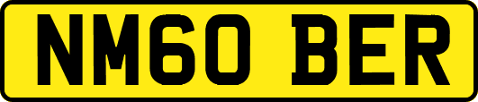 NM60BER