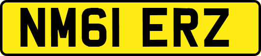 NM61ERZ