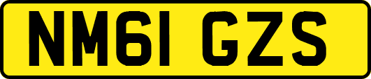 NM61GZS