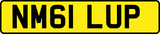 NM61LUP