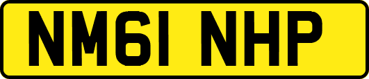NM61NHP