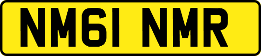 NM61NMR