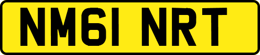NM61NRT