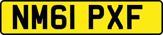 NM61PXF
