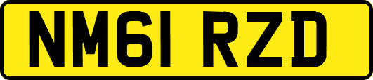 NM61RZD