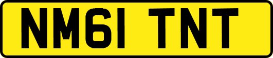 NM61TNT