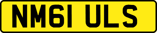 NM61ULS