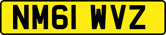 NM61WVZ