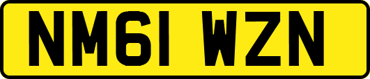 NM61WZN
