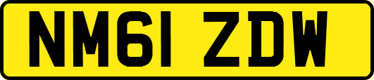 NM61ZDW
