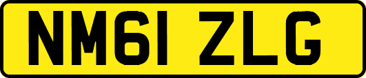NM61ZLG