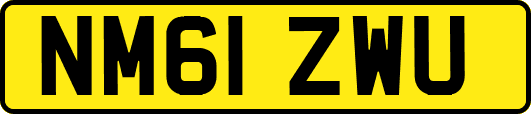 NM61ZWU