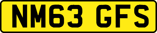 NM63GFS