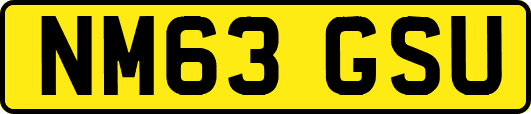 NM63GSU
