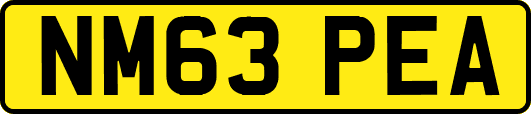NM63PEA