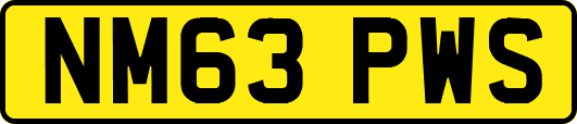 NM63PWS