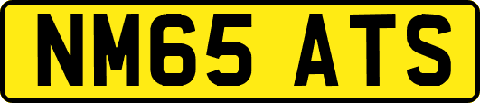 NM65ATS