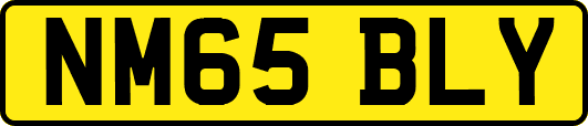 NM65BLY