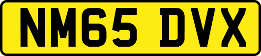 NM65DVX