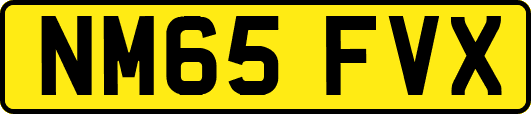 NM65FVX