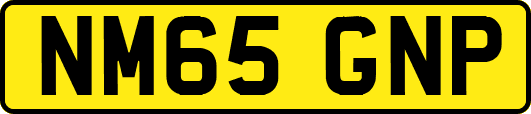 NM65GNP