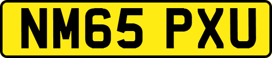 NM65PXU