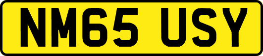 NM65USY