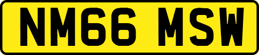 NM66MSW