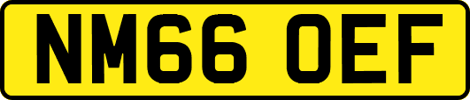 NM66OEF