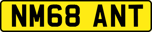 NM68ANT