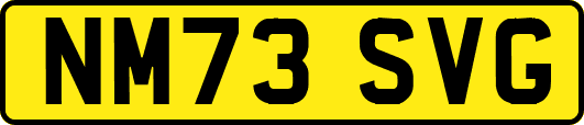 NM73SVG
