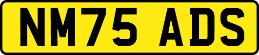 NM75ADS