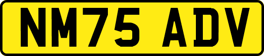 NM75ADV
