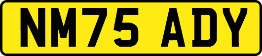 NM75ADY
