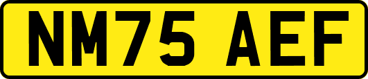 NM75AEF