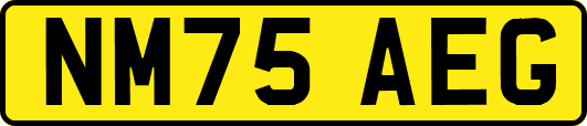 NM75AEG