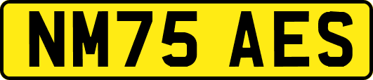NM75AES