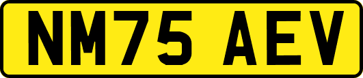 NM75AEV