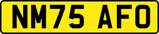 NM75AFO