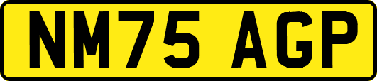 NM75AGP