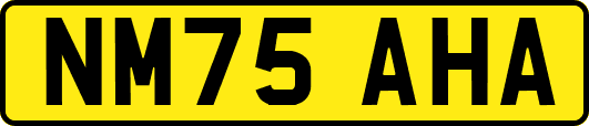 NM75AHA