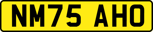 NM75AHO