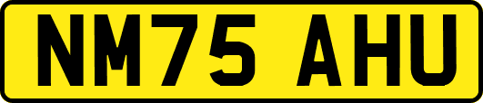 NM75AHU