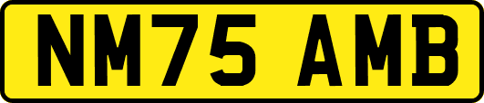NM75AMB