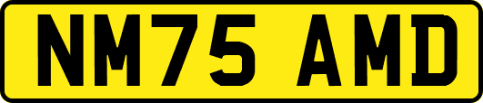 NM75AMD