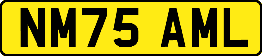 NM75AML