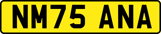 NM75ANA