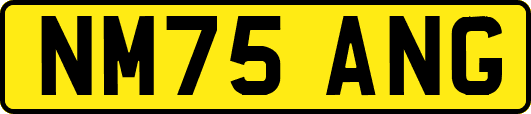NM75ANG