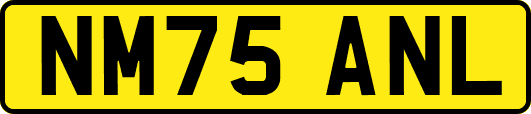 NM75ANL