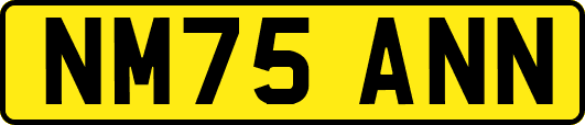 NM75ANN